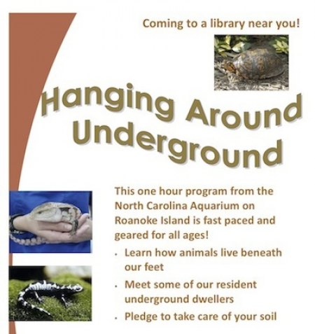 Ocracoke Library to Host NC Aquarium Live Animal Program 